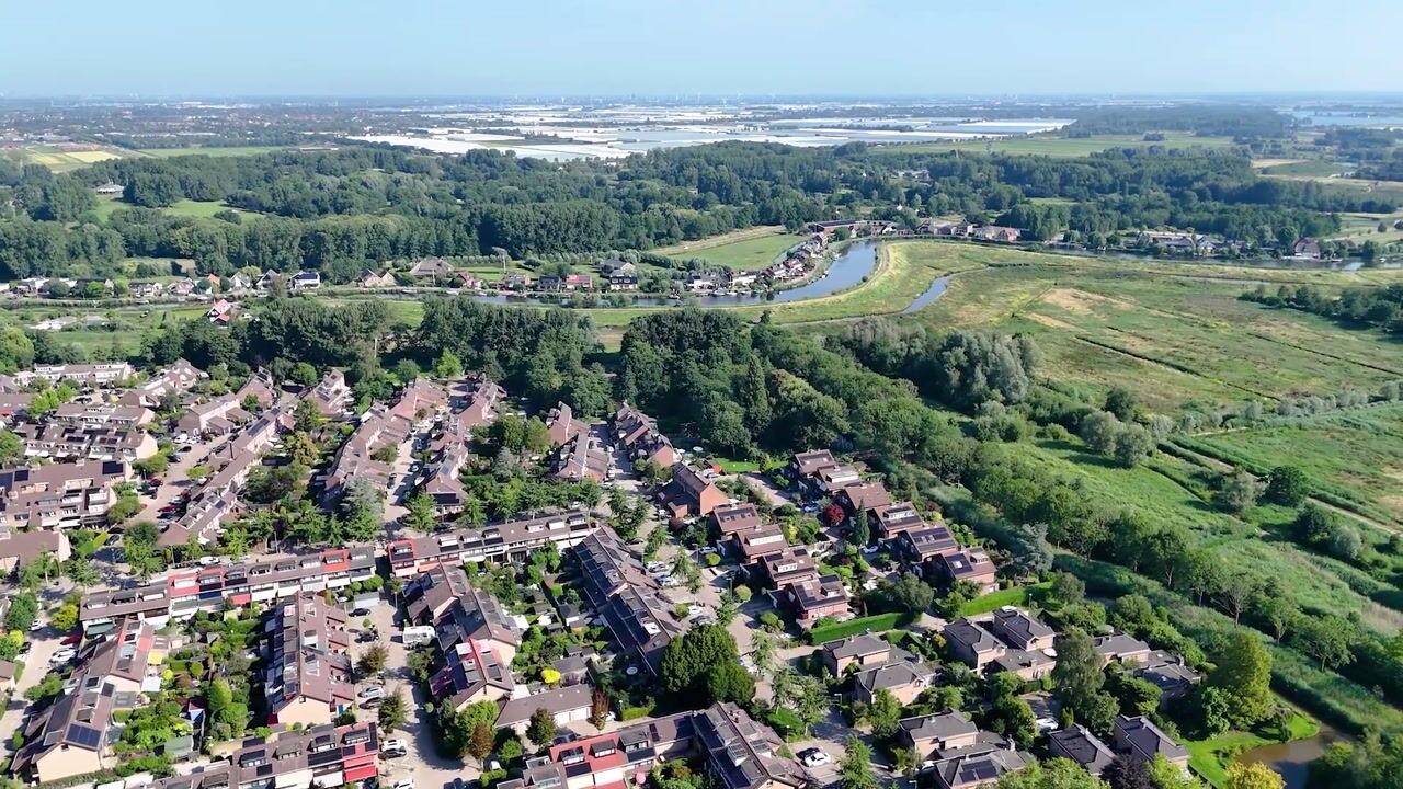 Video van Rupsklaver 47