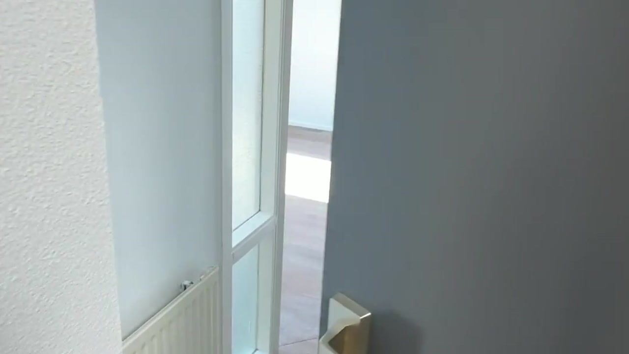 Video van Tesselschadelaan 97