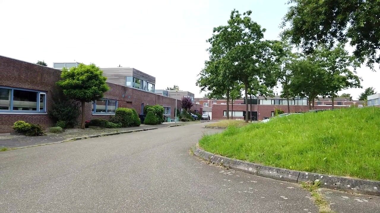 Video van de Lingert 6119