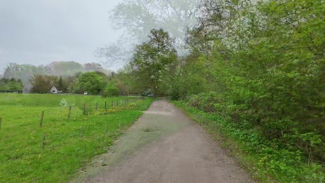 Video of Leeuwenlaan 16