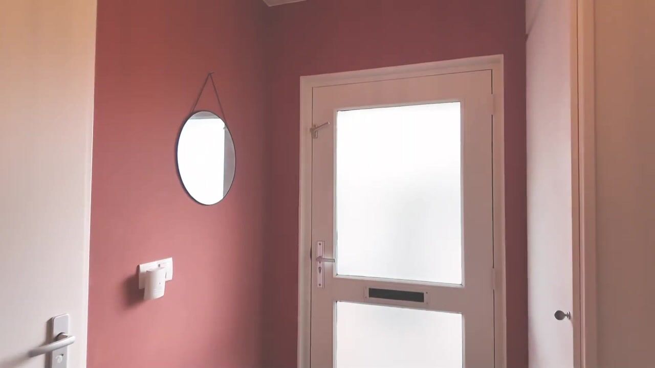 Video van Atlasvlinder 92