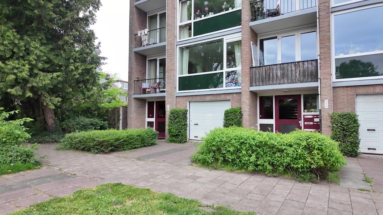 Video of Akker 73