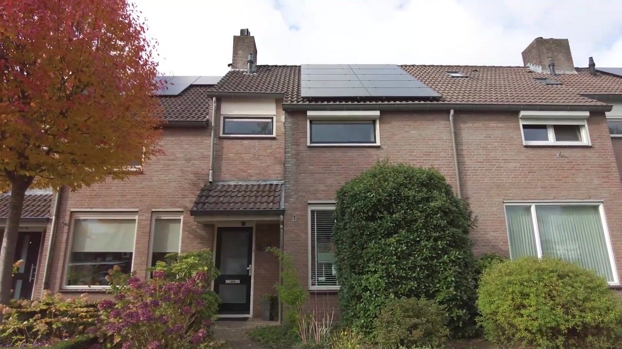 Video van Zonnedauw 17