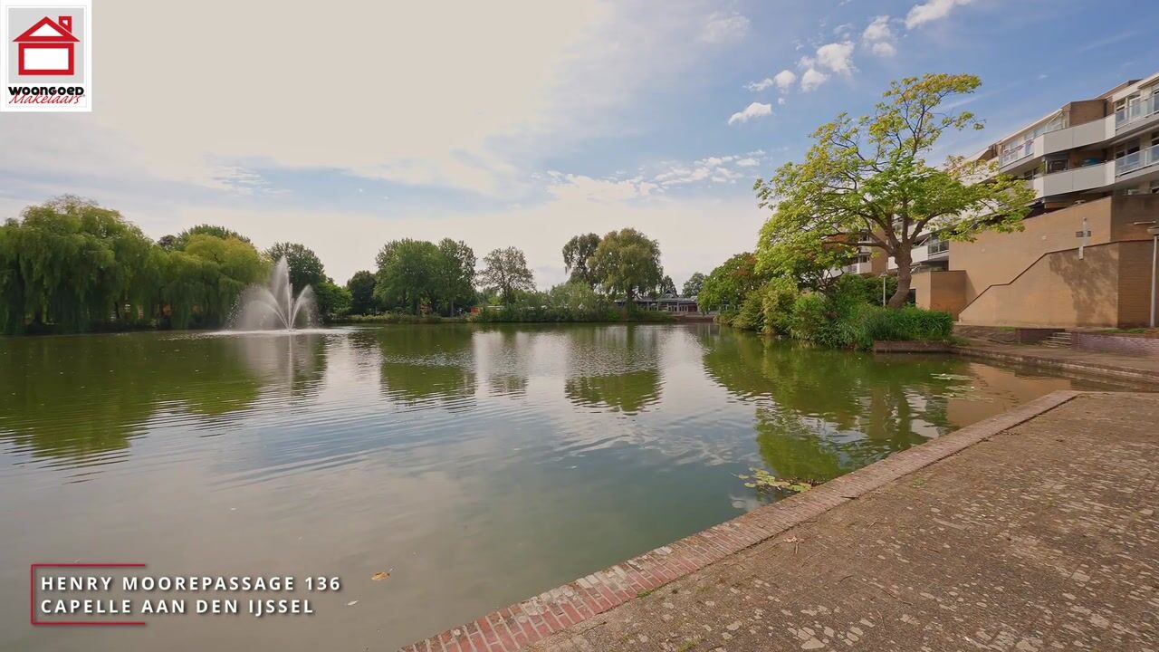 Video van Henry Moorepassage 136