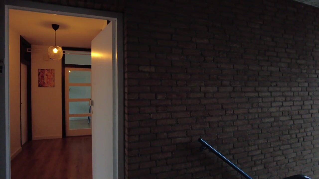 Video of Roebroekweg 114