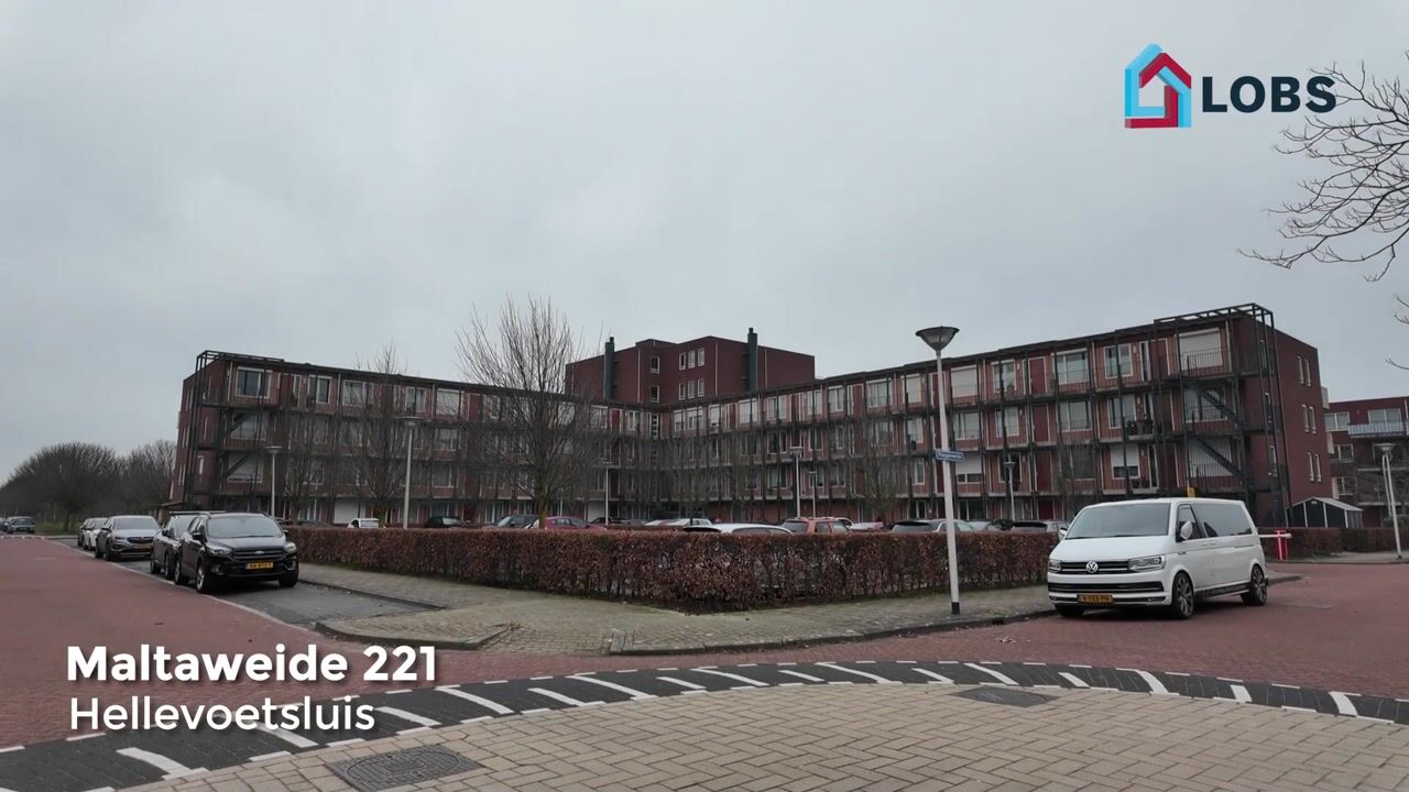 Video of Maltaweide 221