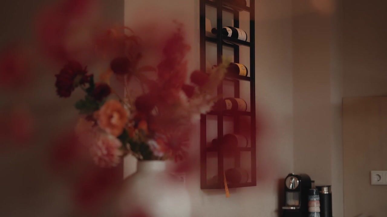 Video of Charlotte de Bourbonlaan 74