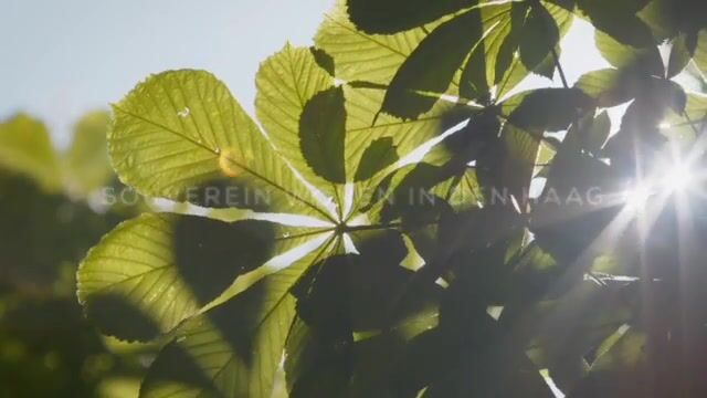 Bekijk video van Souverein