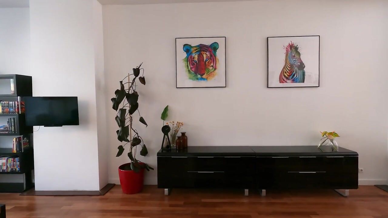 Video of Nicolaïstraat 70