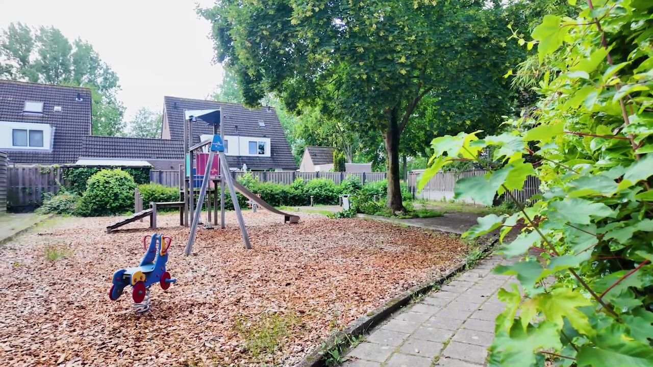 Video van Ruisdaelstraat 25