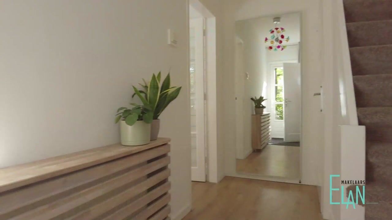 Video van Carel Fabritiuslaan 36