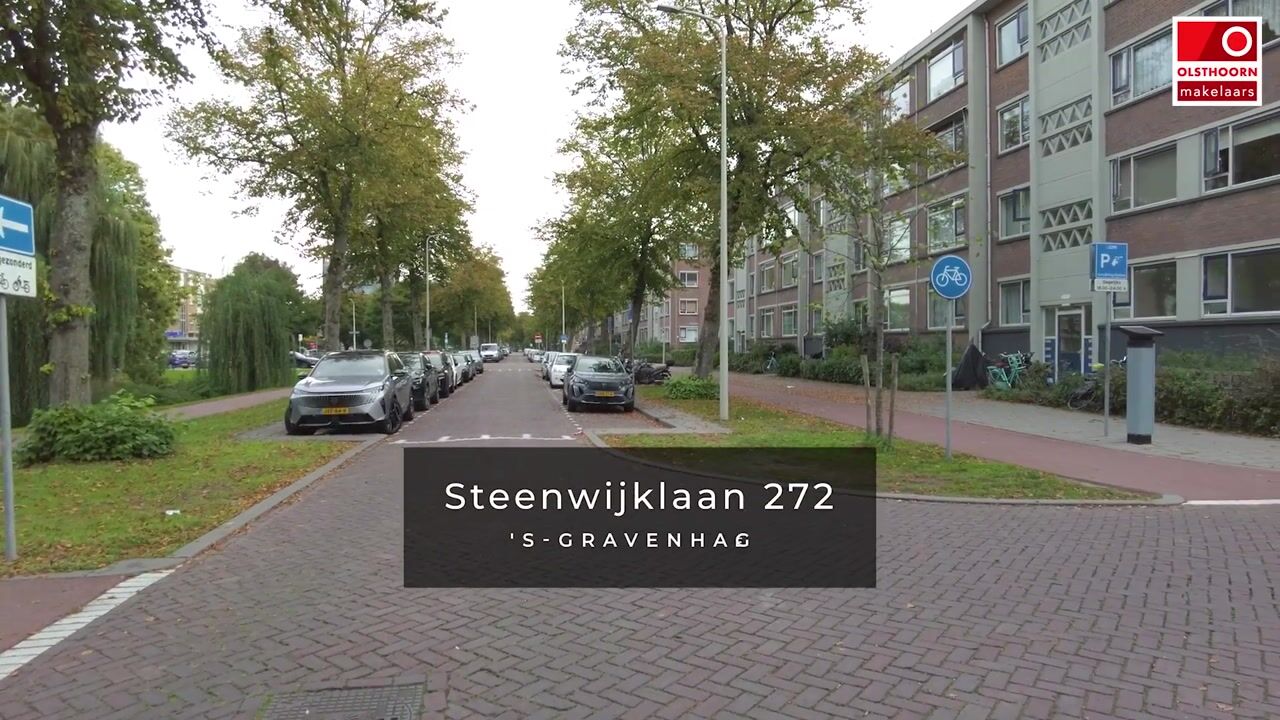 Video van Steenwijklaan 272
