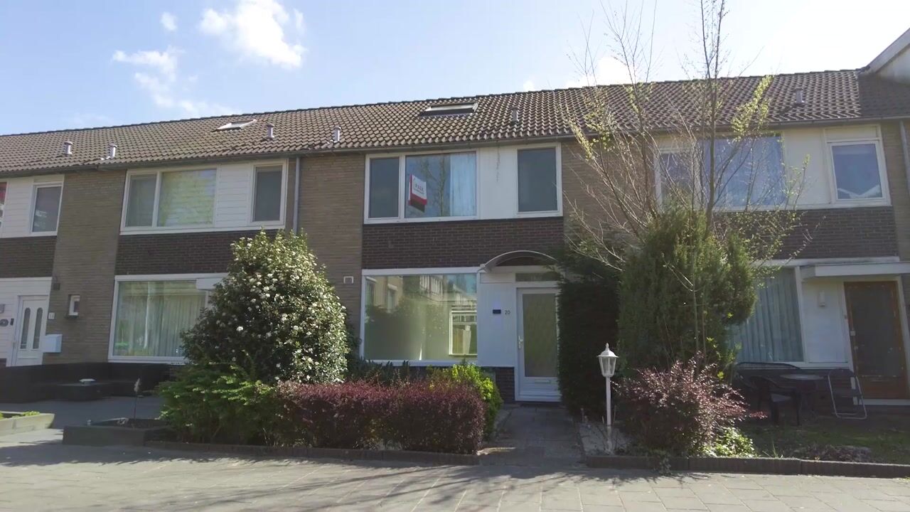 Video van Rode Zee 20