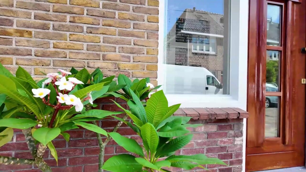 Video van Kamerlingh Onnesstraat 3