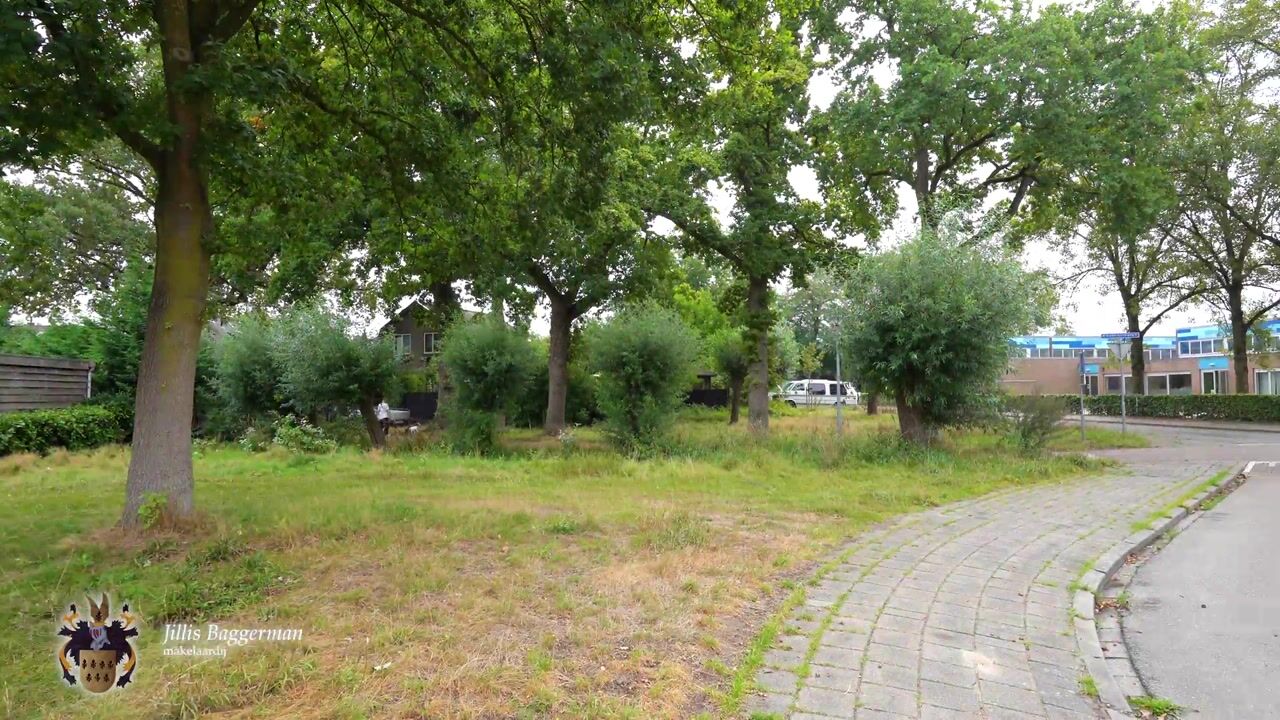 Video of Boterbloem 49