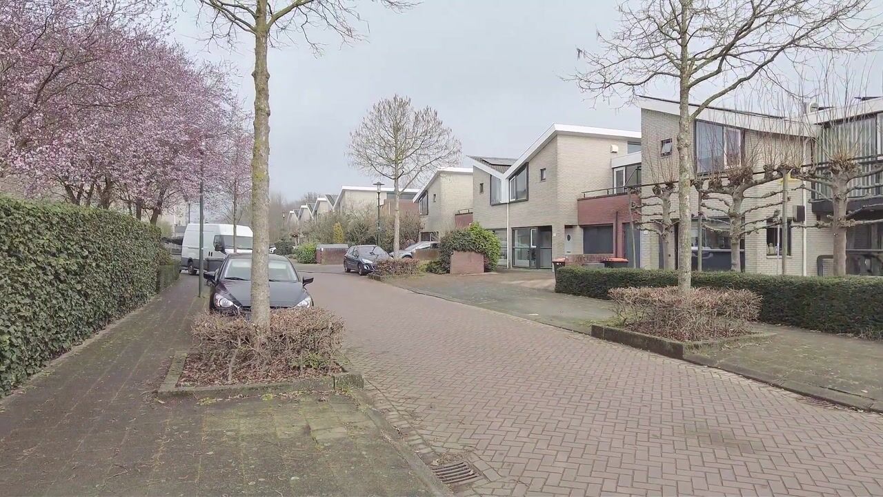 Video of Langedaal 139