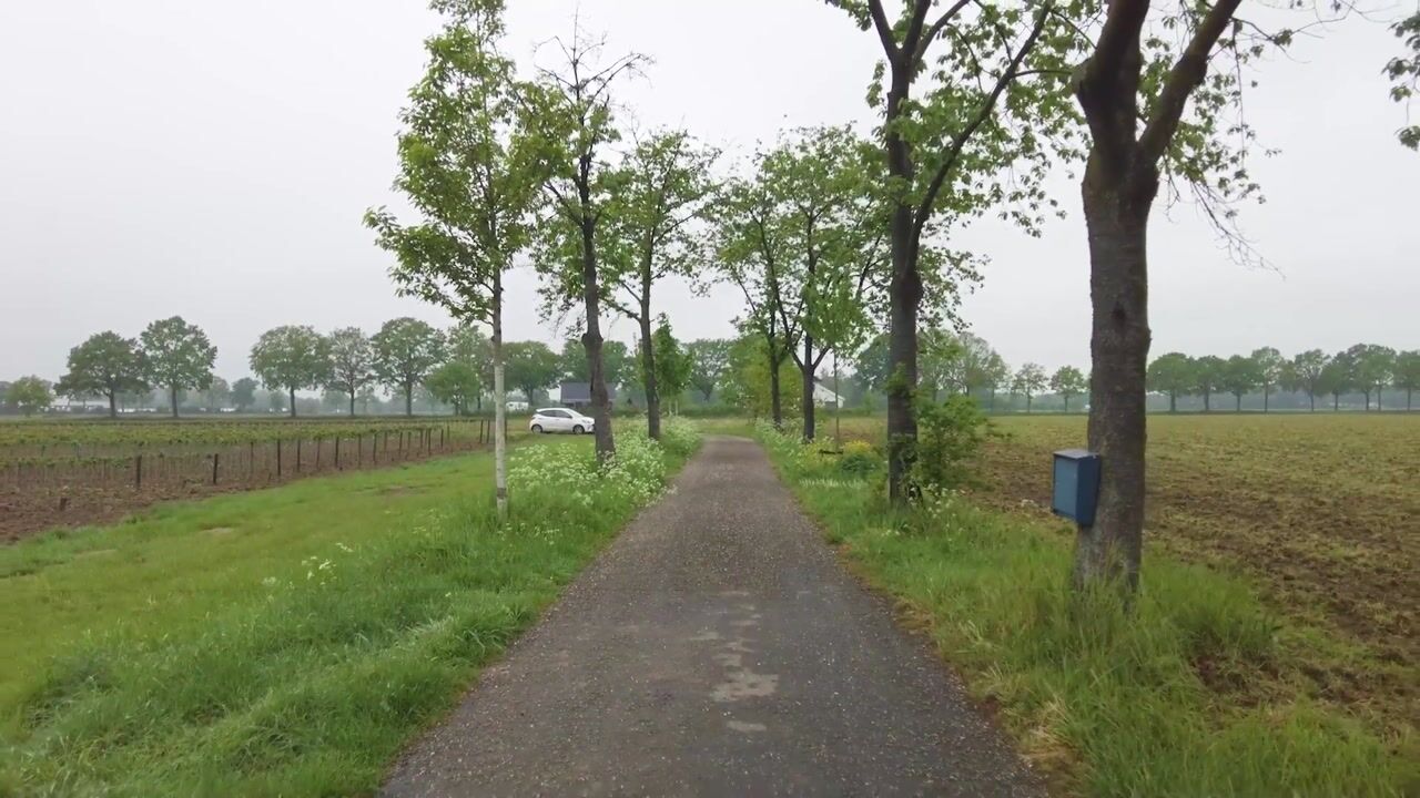 Video van Haart 31