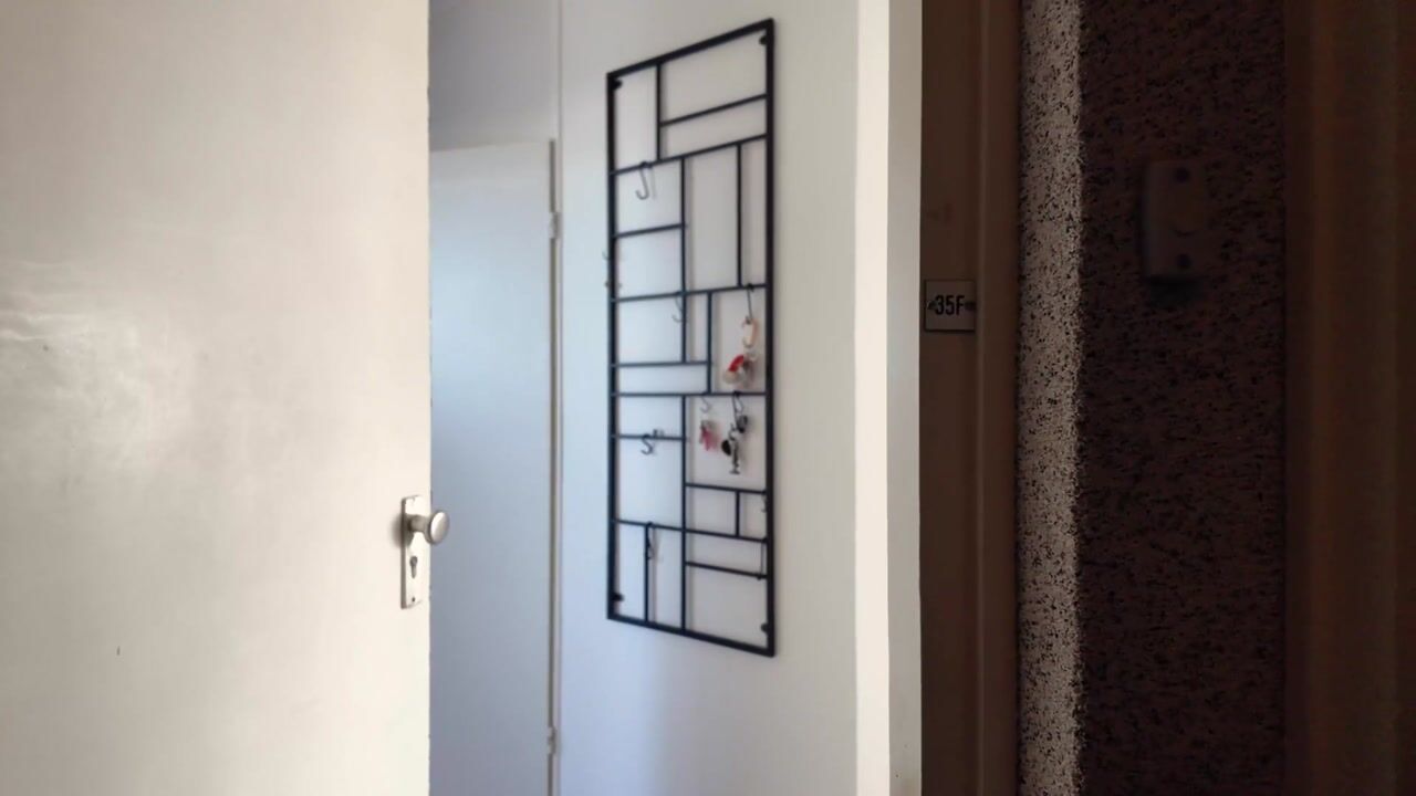 Video van Schoterweg 35-F