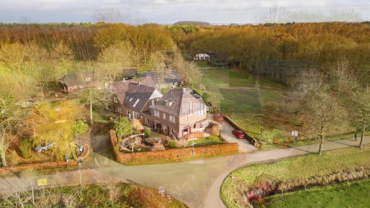 Video van Dassenloop 13