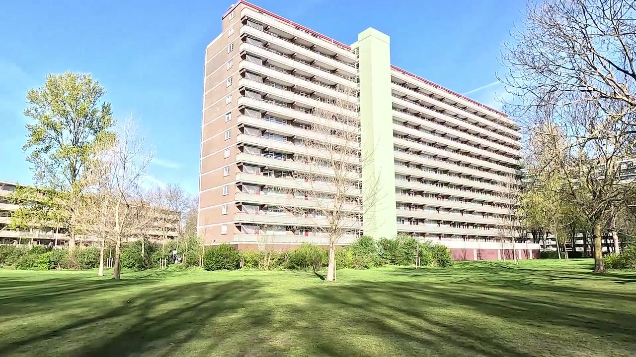 Video van Nieuwendamlaan 346
