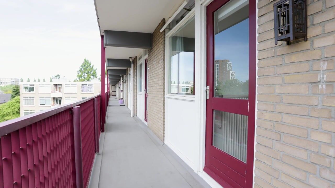Video van Fideliolaan 228