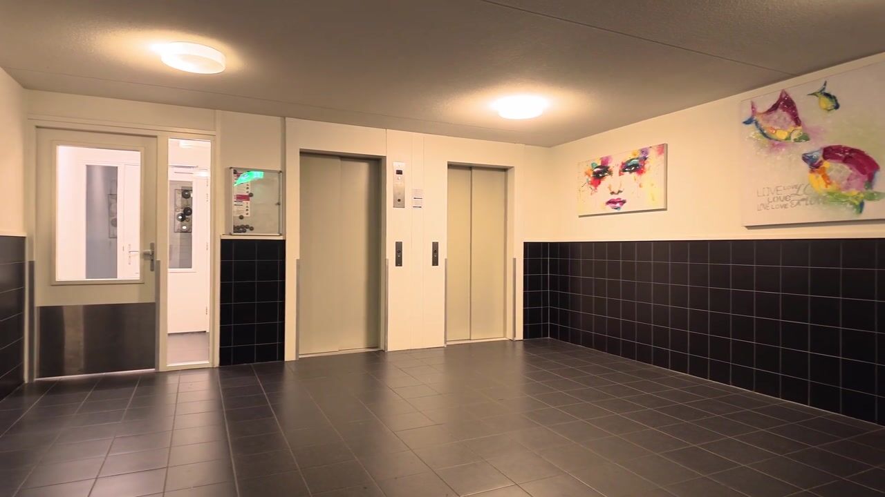 Video van Osdorper Ban 774
