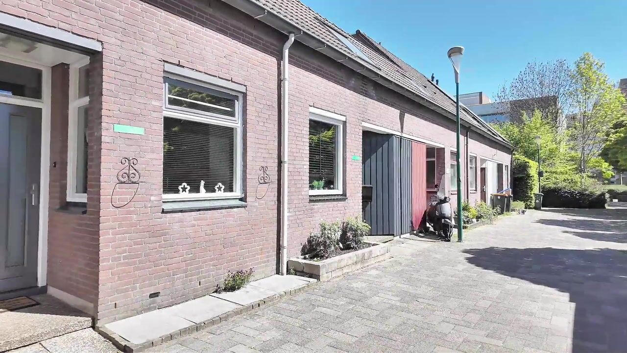 Video van Kamelenspoor 409