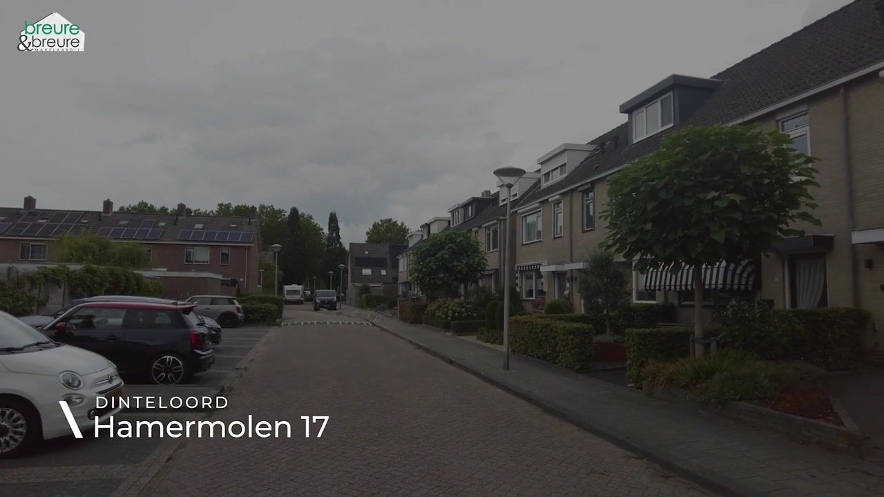 Video van Hamermolen 17