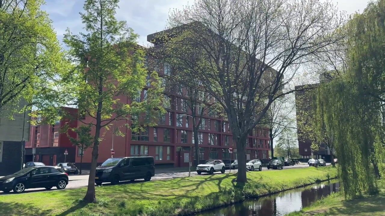 Video of Hengelolaan 586
