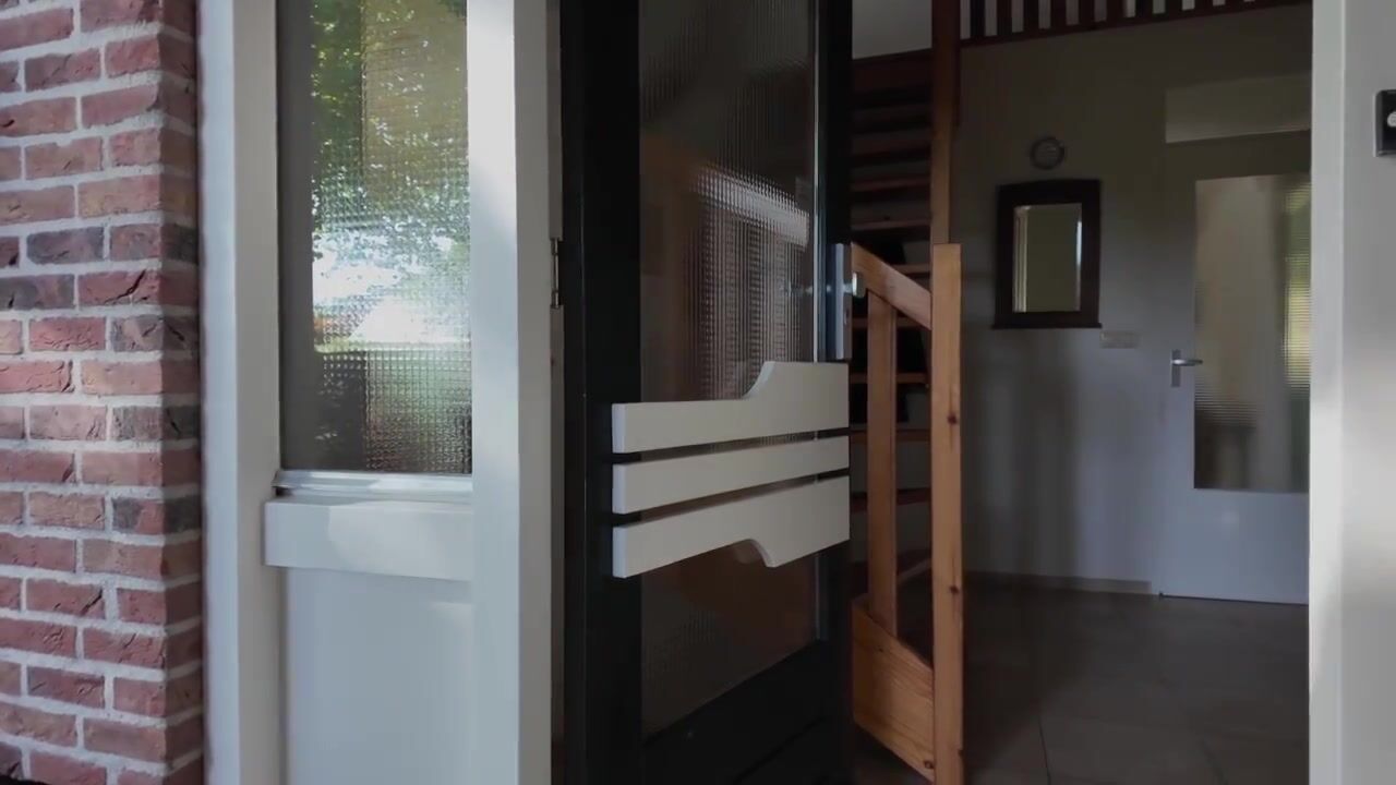 Video van De Ommegang 21