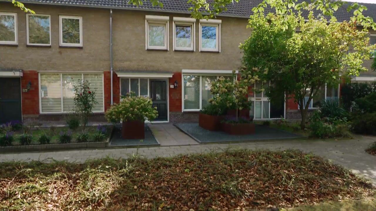 Video of Mesdaglaan 29