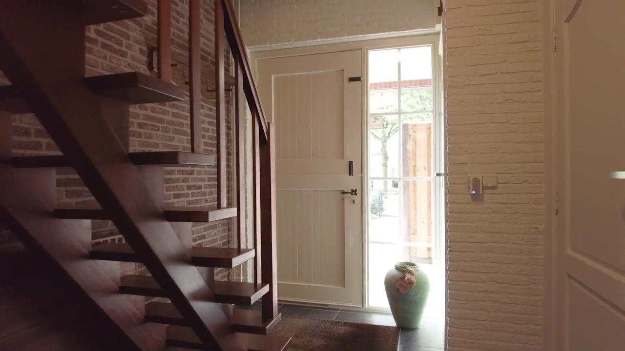 Video van Busseltje 35