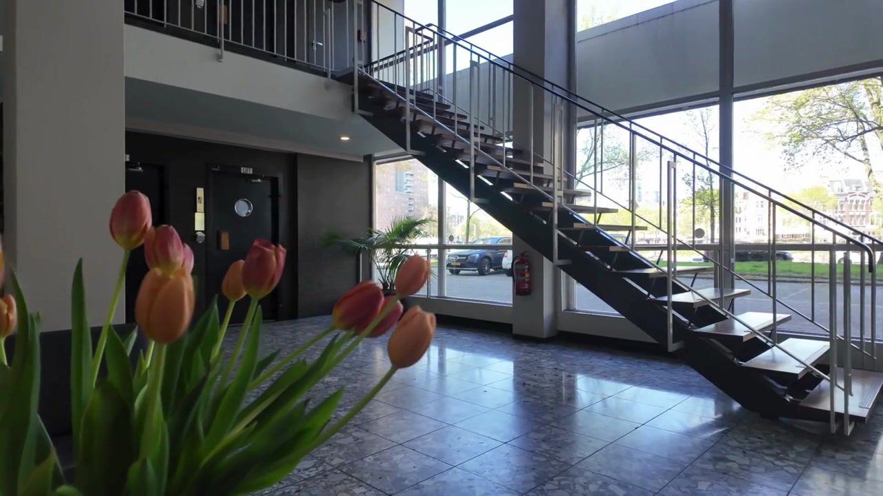 Video van 's-Lands werf 260