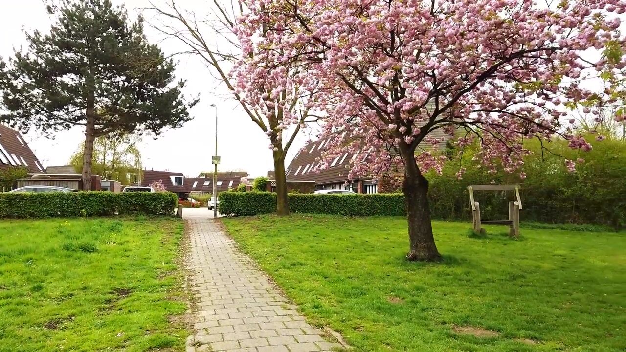 Video of Hegdambroek 1315