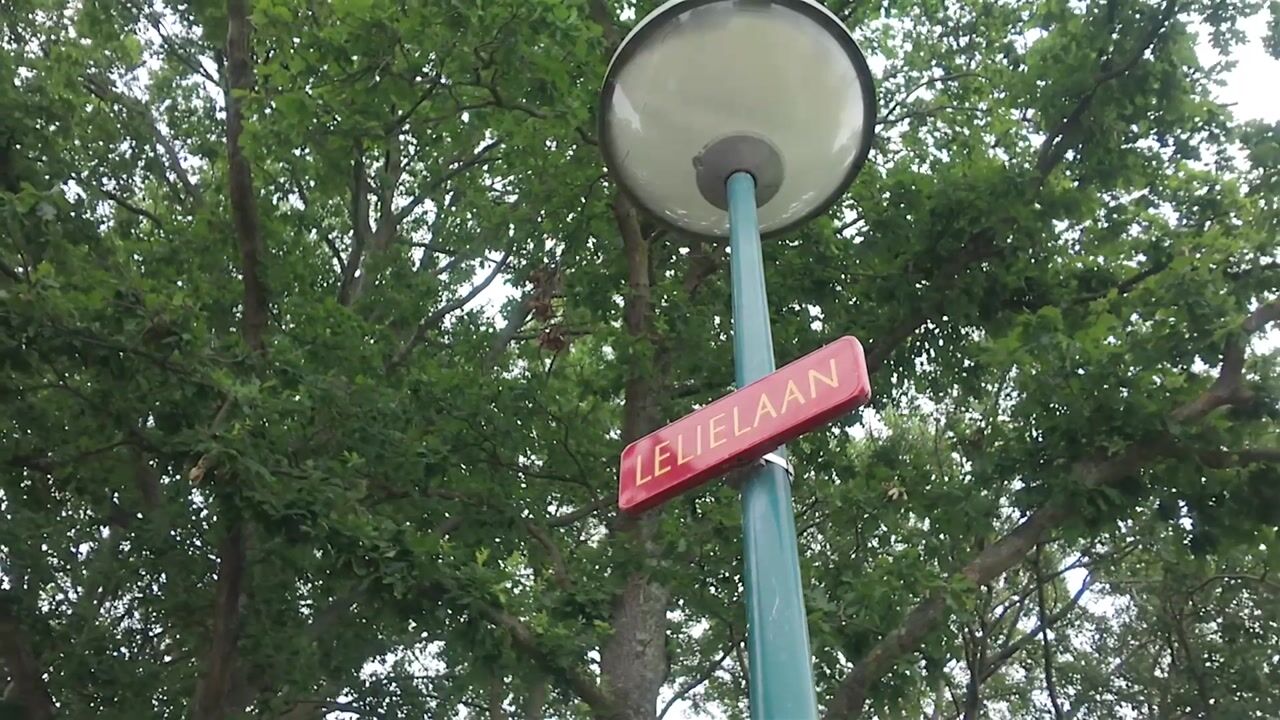 Video van Lelielaan 35