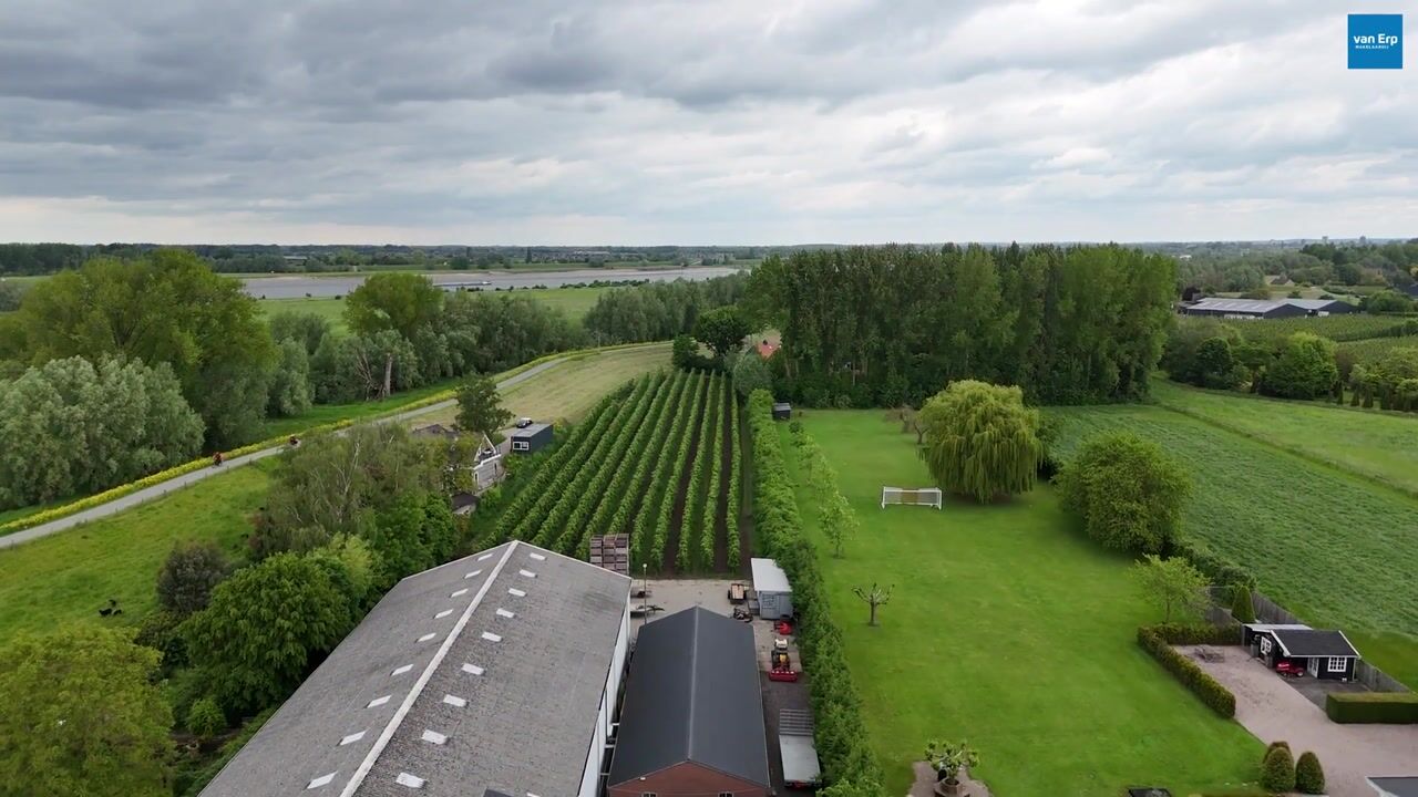 Video of Rooijsestraat 35