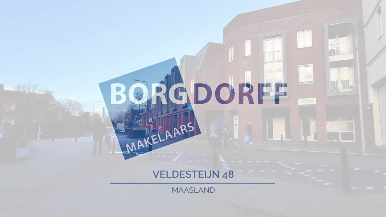 Video van Veldesteijn 48