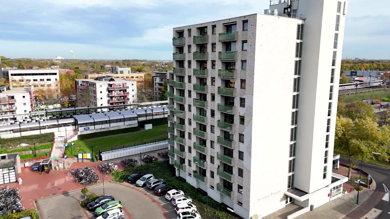 Video of Zwanenveld 8349