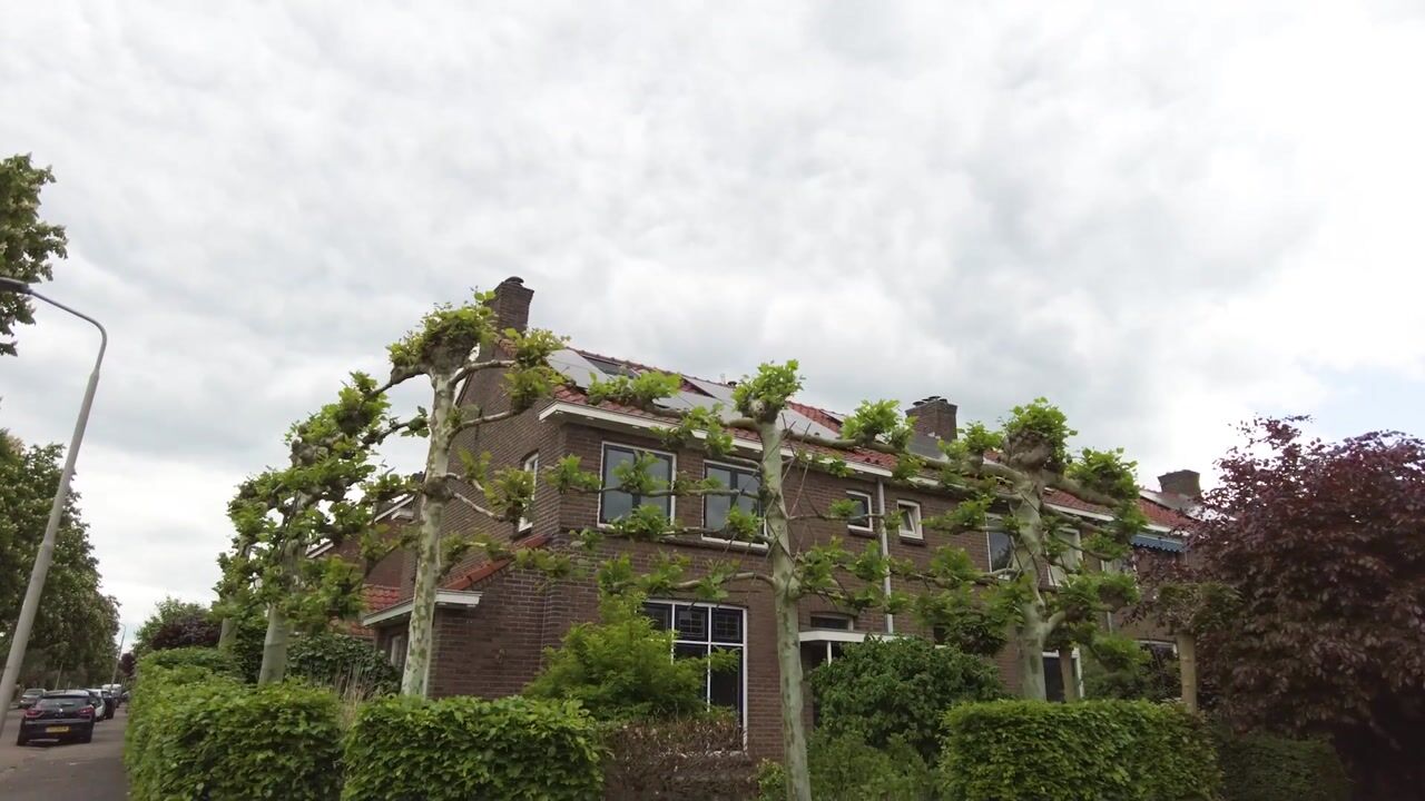 Video van Zebrastraat 12