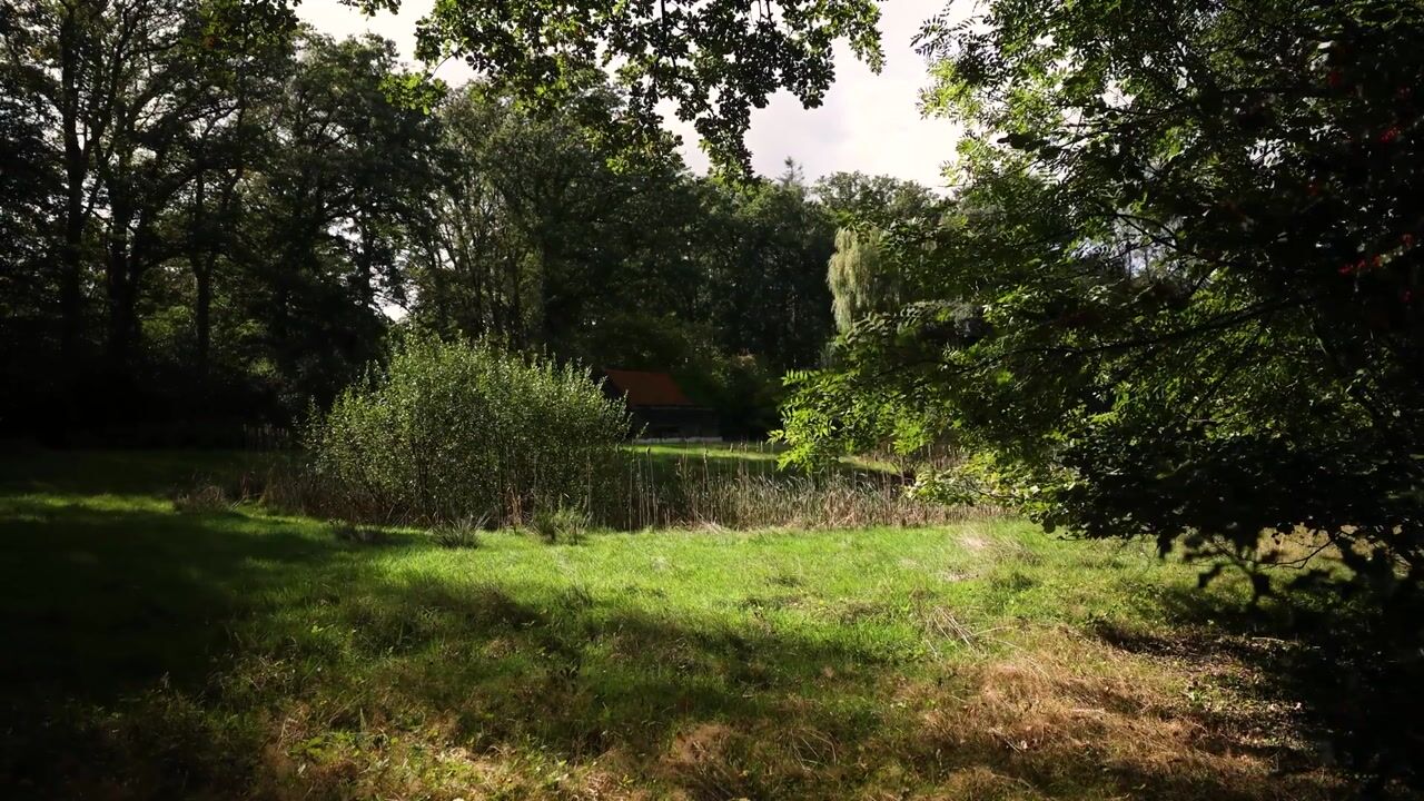 Video of Bastinglaan 20