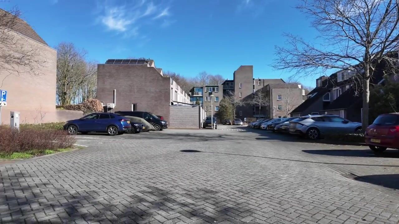 Video van Koraalzwam 93