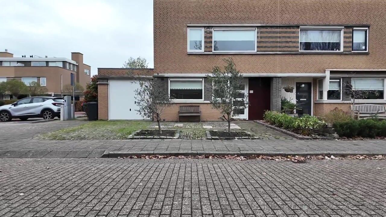 Video van Korenbloem 11