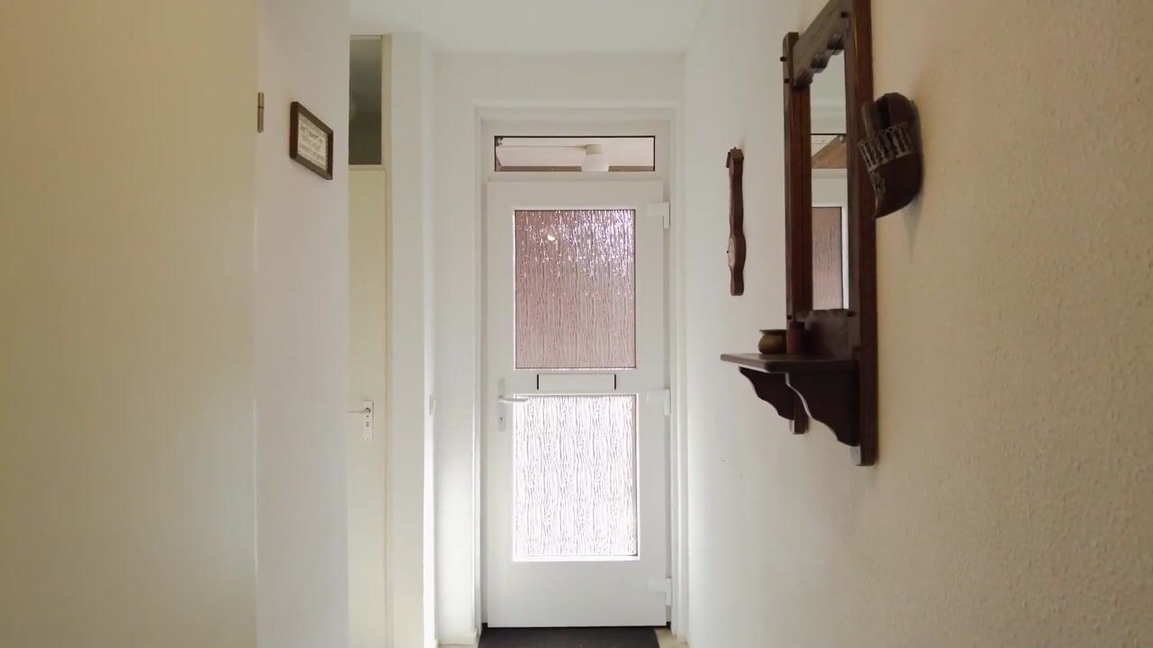 Video van de Ganzeboom 145