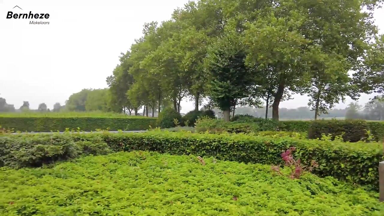 Video van Dintherseweg 41