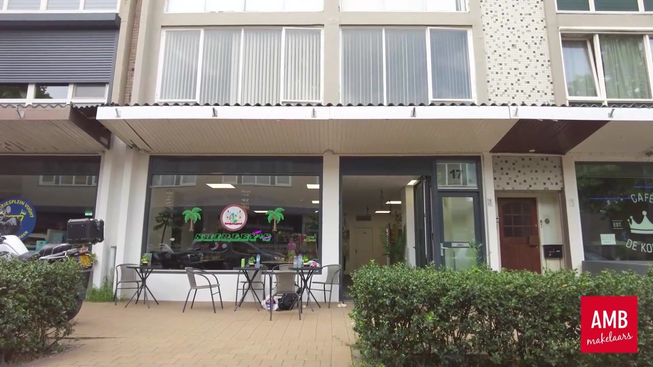 Video van Moleneindplein 18