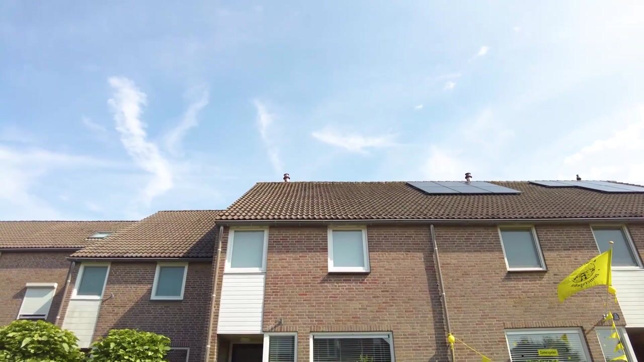 Video van Veld 24