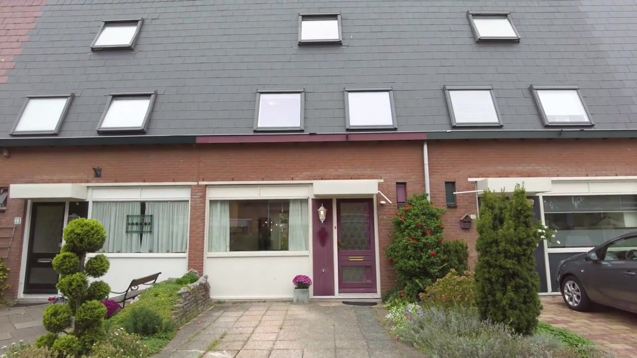 Video van Speenkruid 54