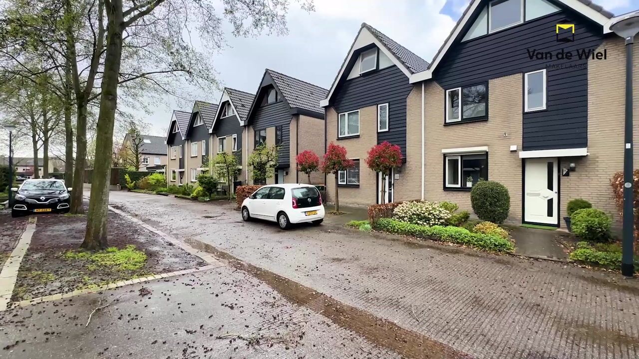 Video van Den Elst 8