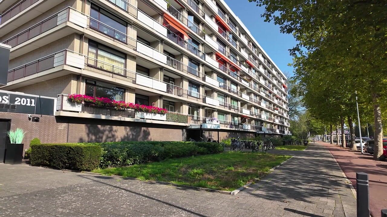 Video van Monseigneur van Steelaan 225