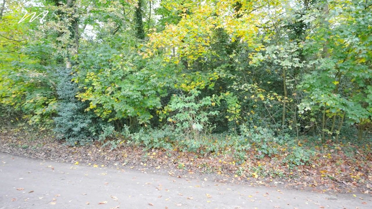 Video van Willem Welgravenlaan 5